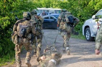 Носилки «ВОЛОКУШИ» модель №2 компактные (без РУП и ТПТ)